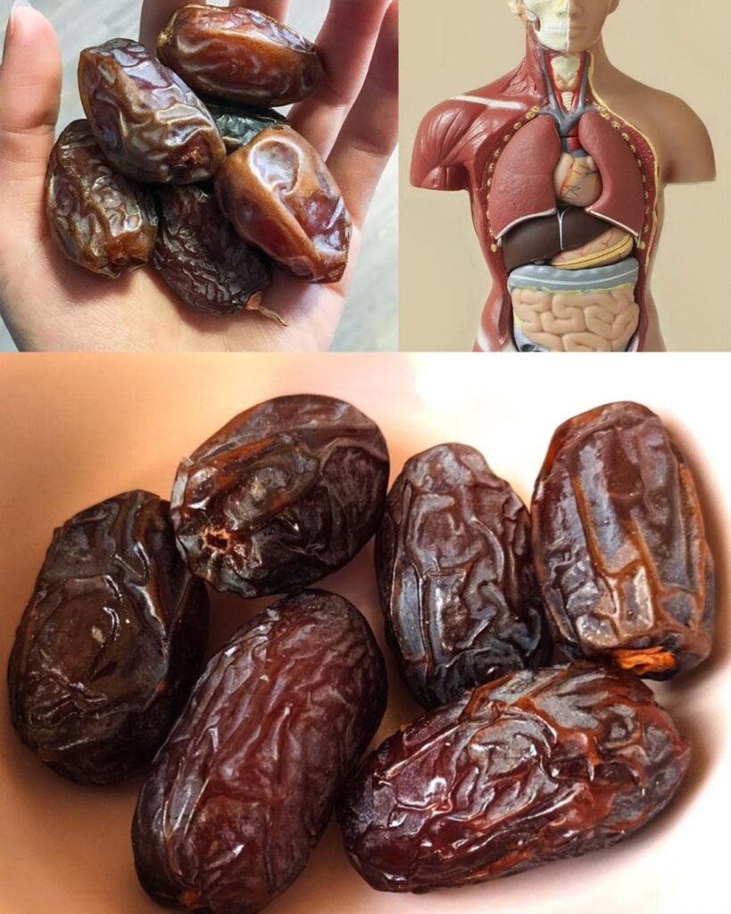 Gli incredibili benefici dei datteri: un superfood ricco di nutrienti