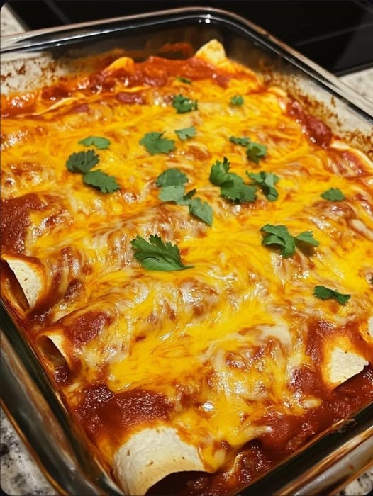 Enchiladas di manzo al peperoncino rosso Hatch del New Mexico