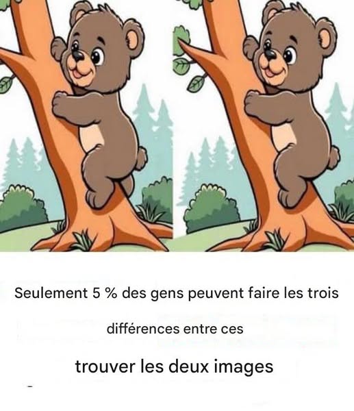 Test: solo le persone con una vista eccezionale noteranno le differenze tra queste due immagini in 13 secondi