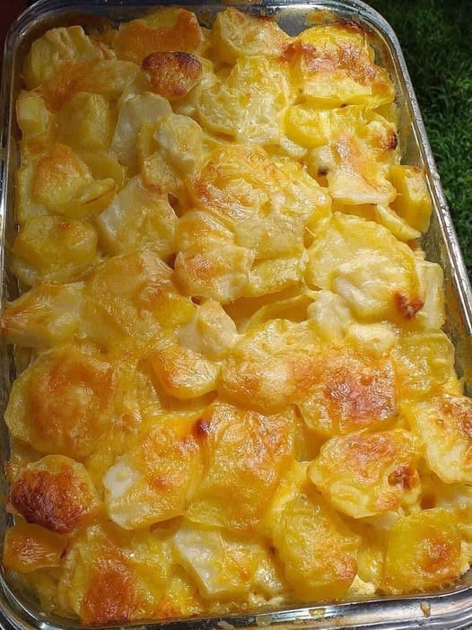 Le patate gratinate sono una ricetta classica facile da preparare, perfetta per la cena di Pasqua, di Natale, del Ringraziamento o anche solo per la cena della domenica.