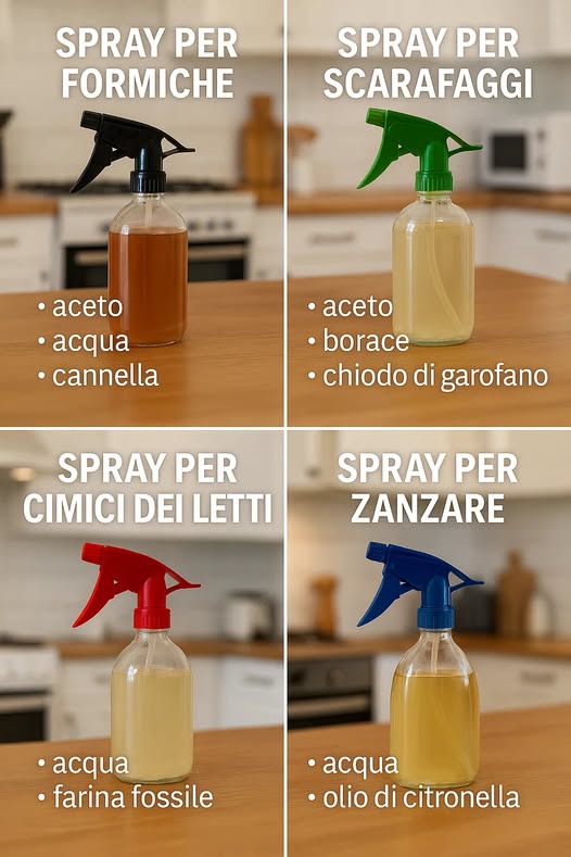 Dì addio a formiche, scarafaggi, cimici e zanzare… in modo naturale! 🦟🐜