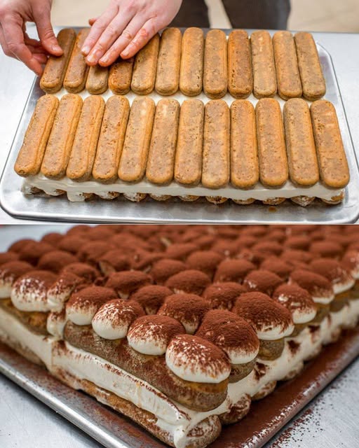 Tiramisù alla ricotta