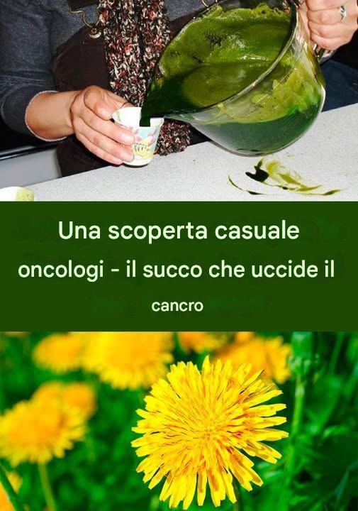 Radice di tarassaco: più efficace della chemioterapia